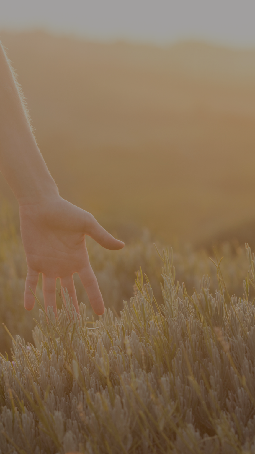 Mediales Heilen und Epigenetik Coaching Startseite 6 Kundenfeedback